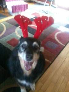 ddb52b35b452__1354738113000